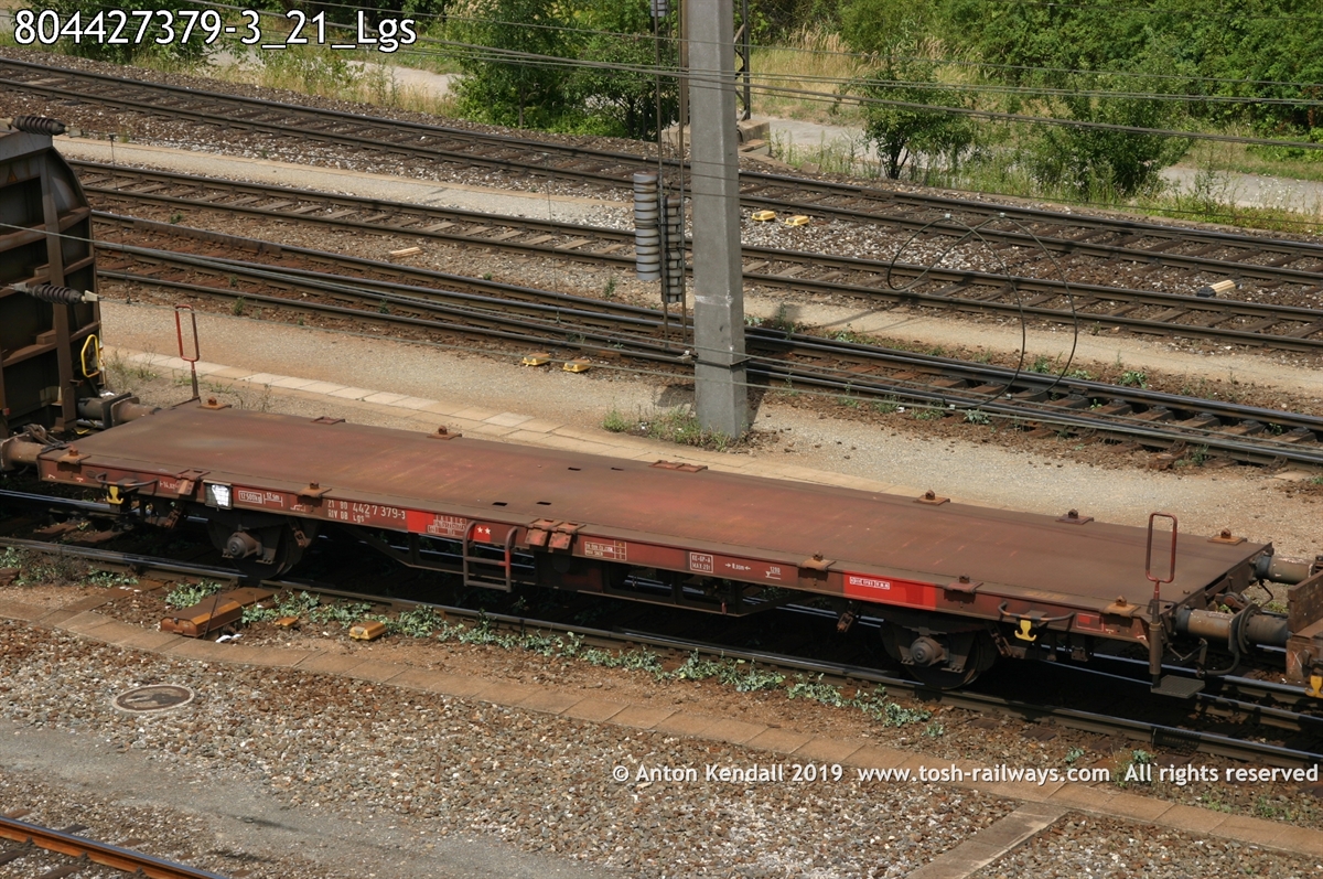 804427379-3_21_Lgs.jpg